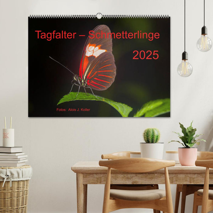 Tagfalter Schmetterlinge (CALVENDO Wandkalender 2025)