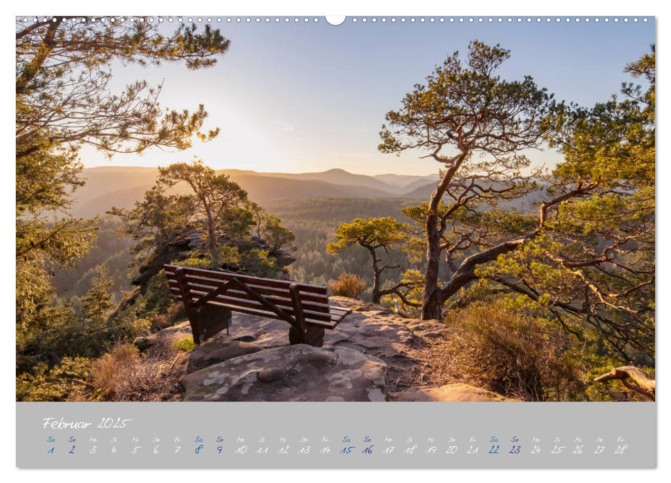 Ausflüge in der Heimat - Die Pfalz (CALVENDO Wandkalender 2025)