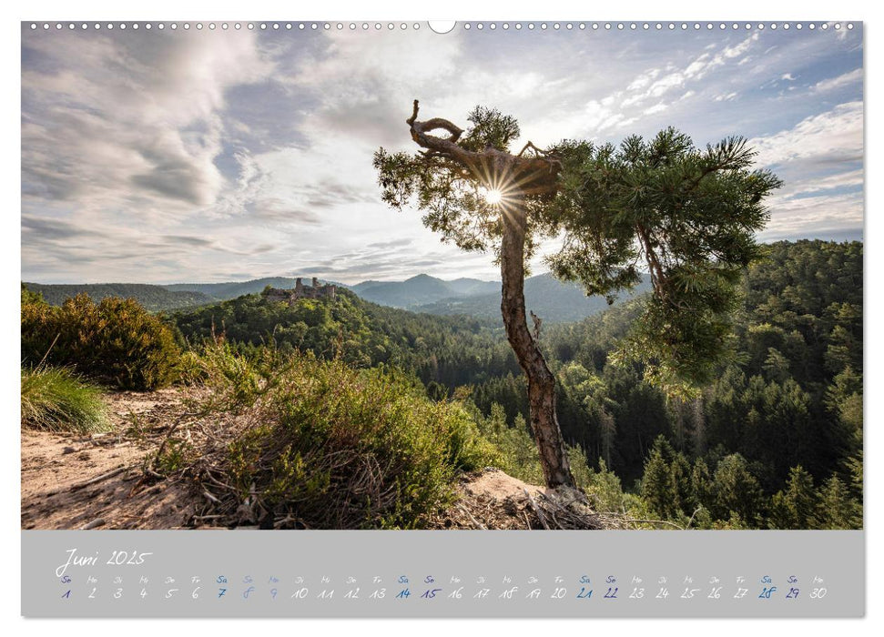 Ausflüge in der Heimat - Die Pfalz (CALVENDO Wandkalender 2025)