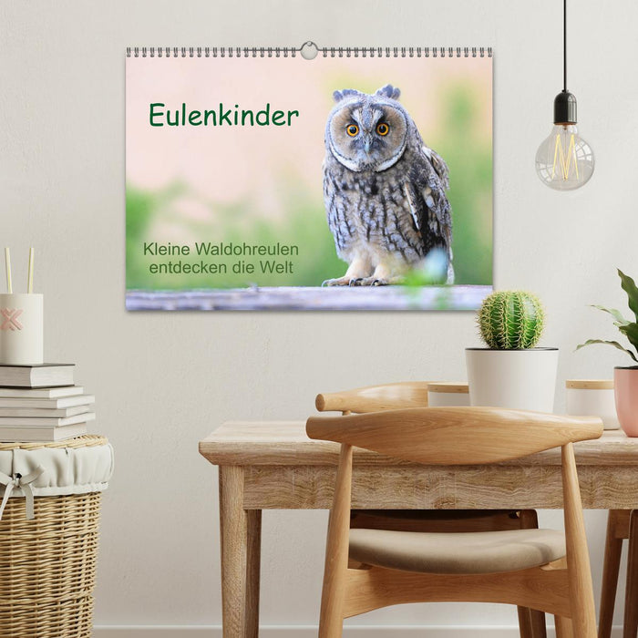 Eulenkinder - Kleine Waldohreulen entdecken die Welt (CALVENDO Wandkalender 2025)