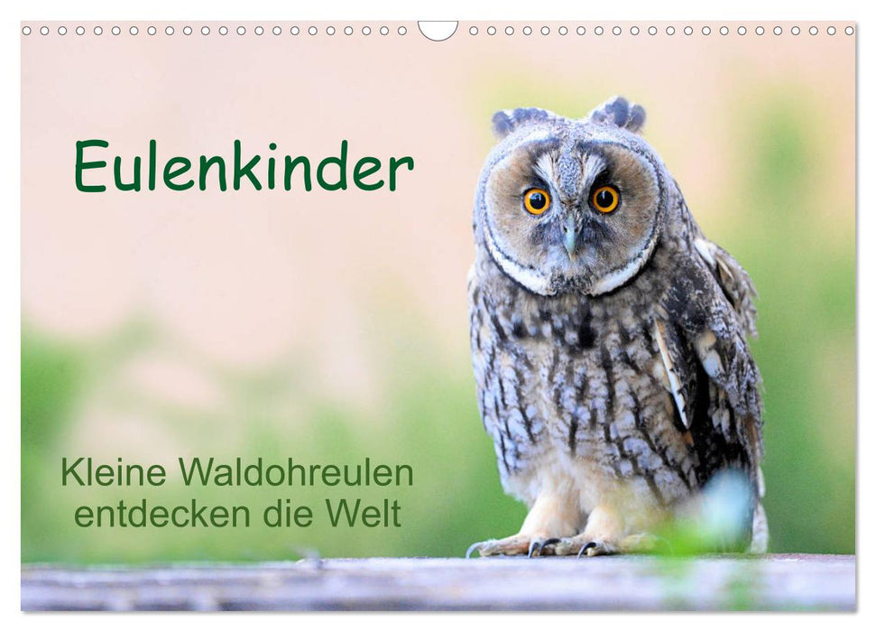 Eulenkinder - Kleine Waldohreulen entdecken die Welt (CALVENDO Wandkalender 2025)