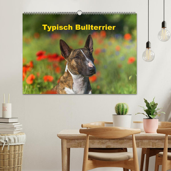 Typisch Bullterrier (CALVENDO Wandkalender 2025)