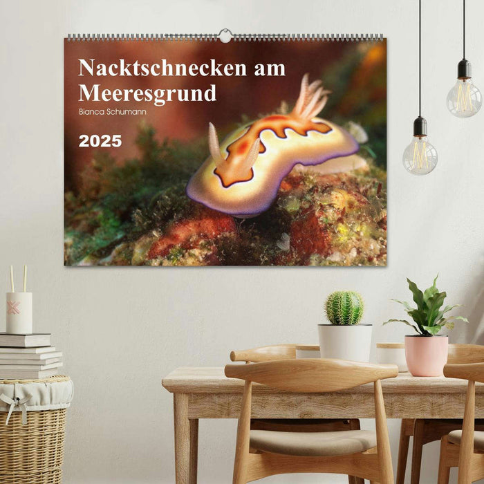 Nacktschnecken am Meeresgrund (CALVENDO Wandkalender 2025)