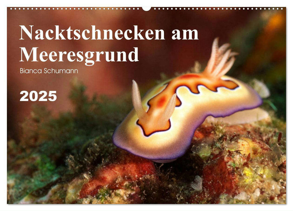 Nacktschnecken am Meeresgrund (CALVENDO Wandkalender 2025)