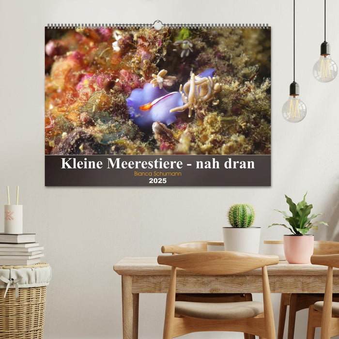 Kleine Meerestiere - nah dran (CALVENDO Wandkalender 2025)