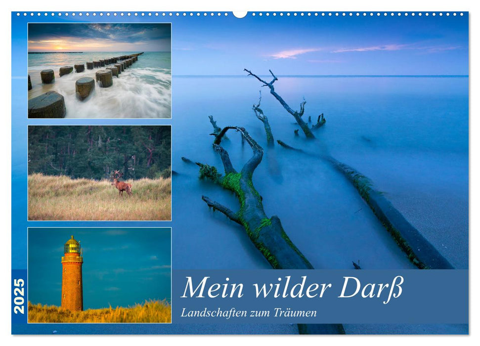 Mein wilder Darß - Landschaften zum Träumen (CALVENDO Wandkalender 2025)