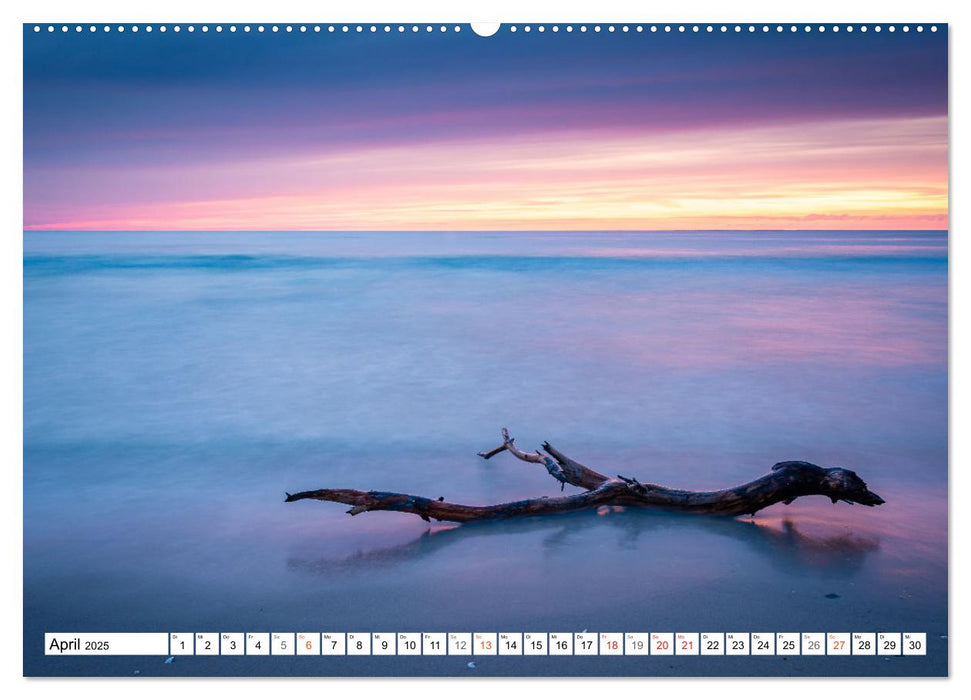 Mein wilder Darß - Landschaften zum Träumen (CALVENDO Wandkalender 2025)