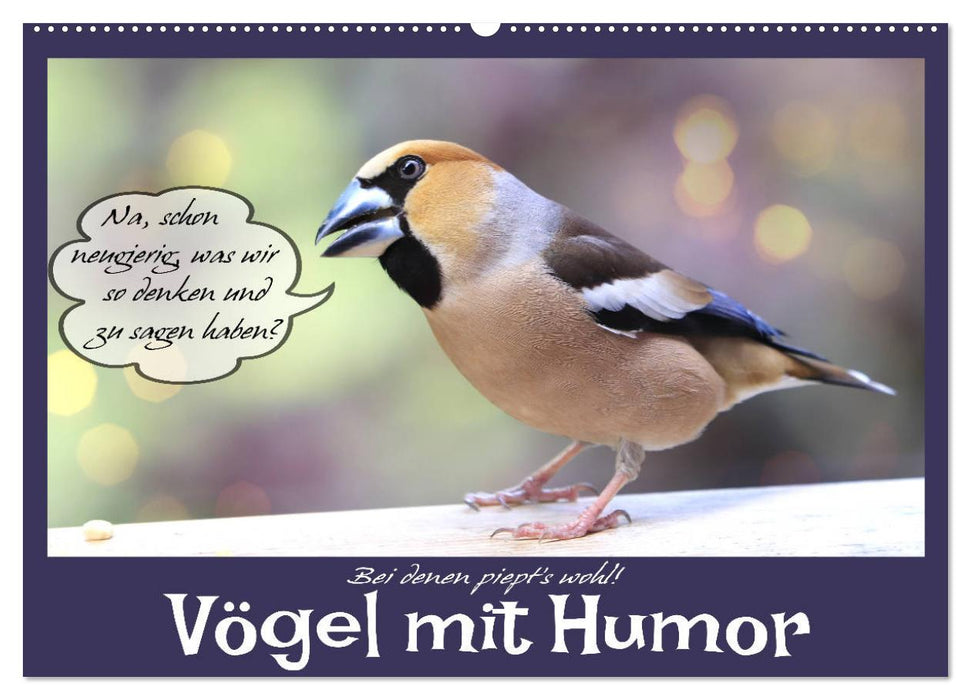 Vögel mit Humor (CALVENDO Wandkalender 2025)