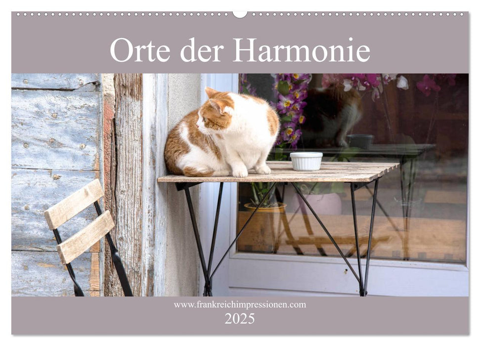 Orte der Harmonie (CALVENDO Wandkalender 2025)