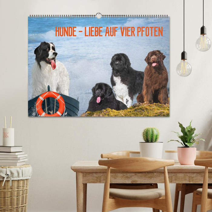 Hunde - Liebe auf vier Pfoten (CALVENDO Wandkalender 2025)