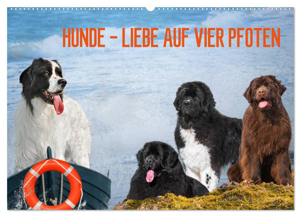 Hunde - Liebe auf vier Pfoten (CALVENDO Wandkalender 2025)