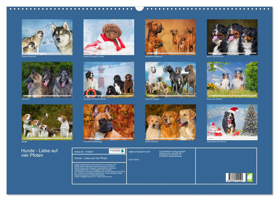 Hunde - Liebe auf vier Pfoten (CALVENDO Wandkalender 2025)