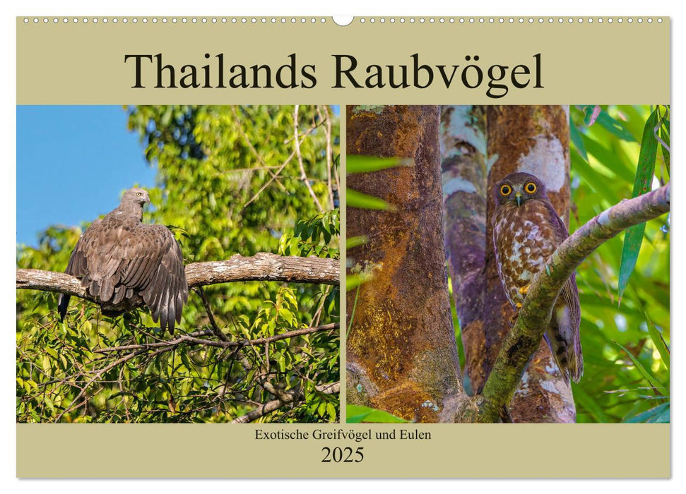 THAILANDS RAUBVÖGEL Exotische Greifvögel und Eulen (CALVENDO Wandkalender 2025)