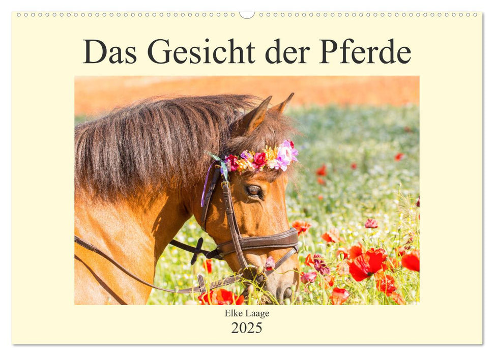 Das Gesicht der Pferde (CALVENDO Wandkalender 2025)