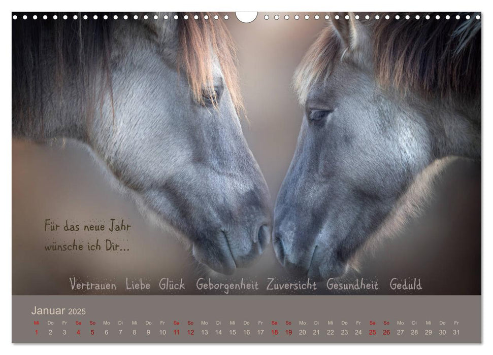 Wunschmonate (CALVENDO Wandkalender 2025)