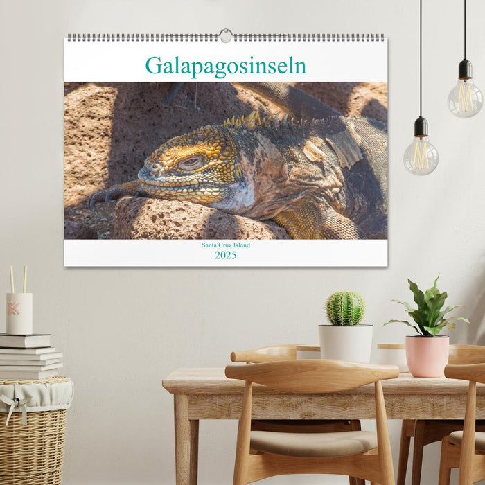 Die Galapagosinseln - Santa Cruz Island (CALVENDO Wandkalender 2025)