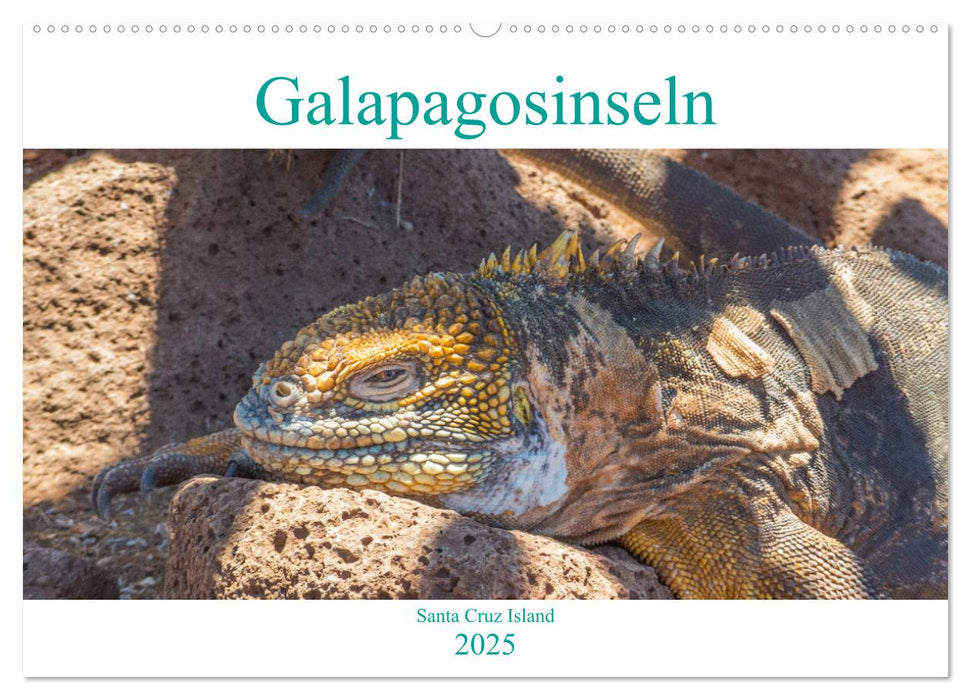 Die Galapagosinseln - Santa Cruz Island (CALVENDO Wandkalender 2025)