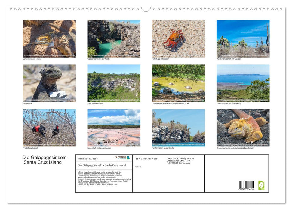 Die Galapagosinseln - Santa Cruz Island (CALVENDO Wandkalender 2025)