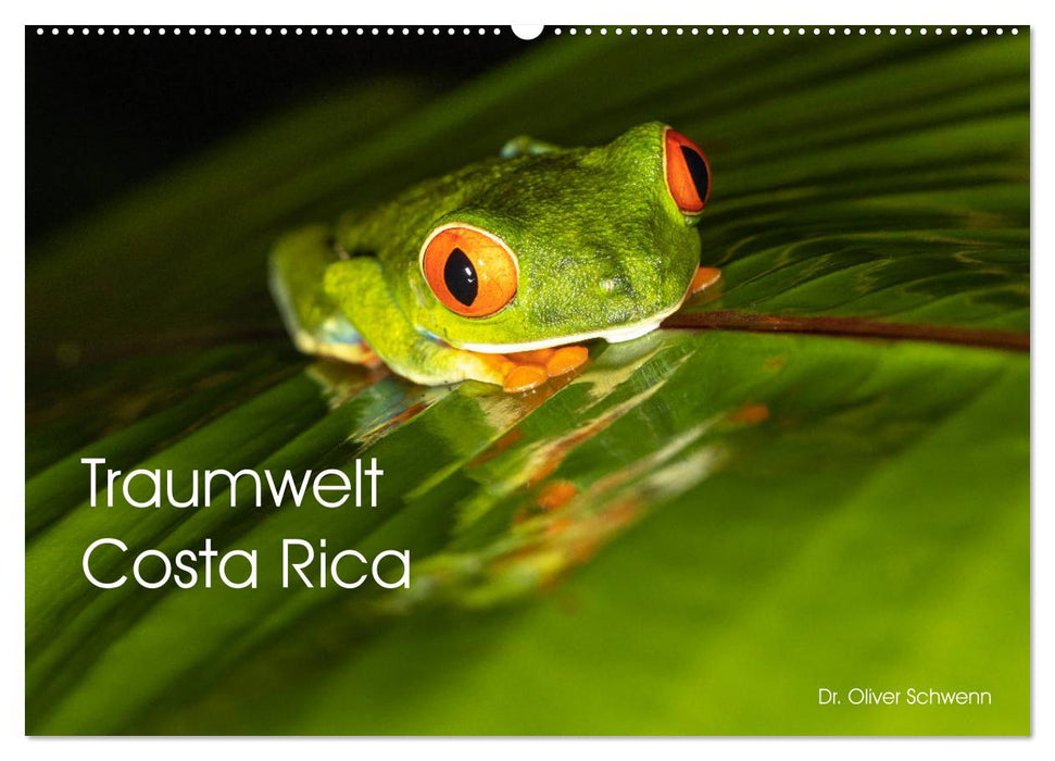 Traumwelt Costa Rica (CALVENDO Wandkalender 2025)