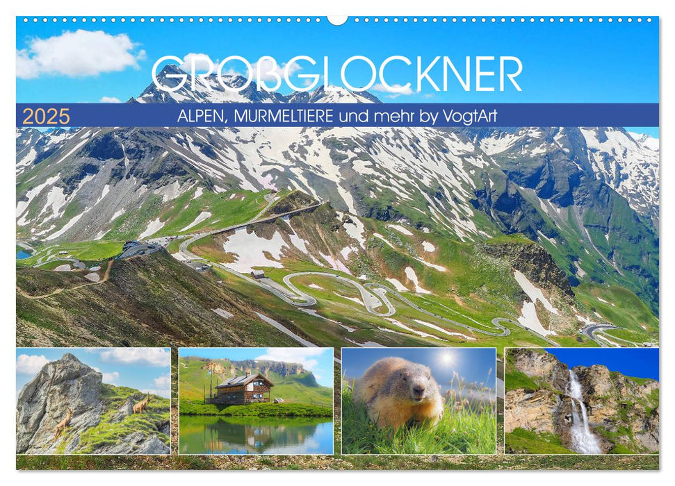 Großglockner, Alpen, Murmeltiere & mehr by VogtArt (CALVENDO Wandkalender 2025)