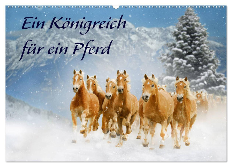 Ein Königreich für ein Pferd (CALVENDO Wandkalender 2025)