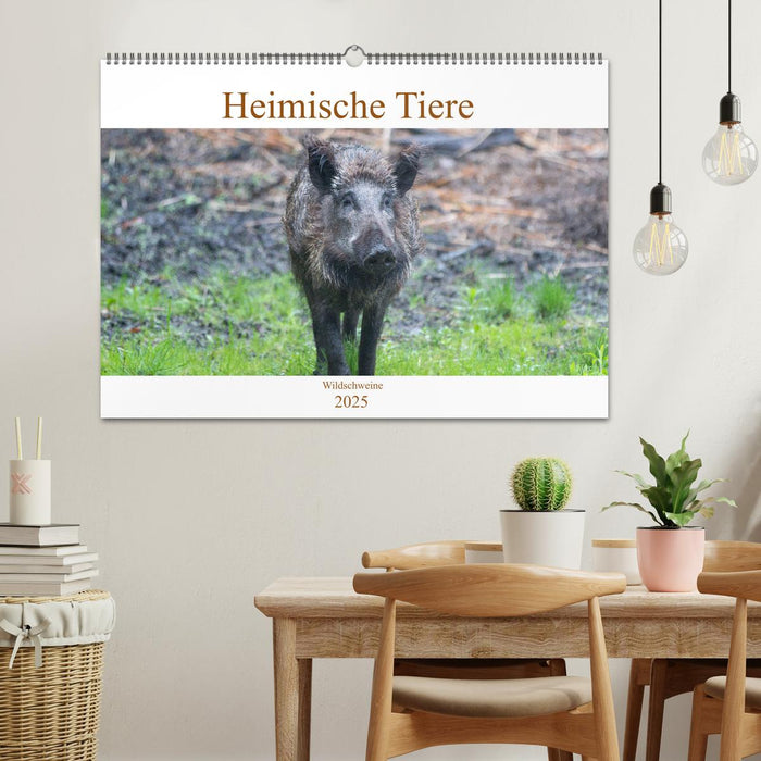 Heimische Tiere - Wildschweine (CALVENDO Wandkalender 2025)