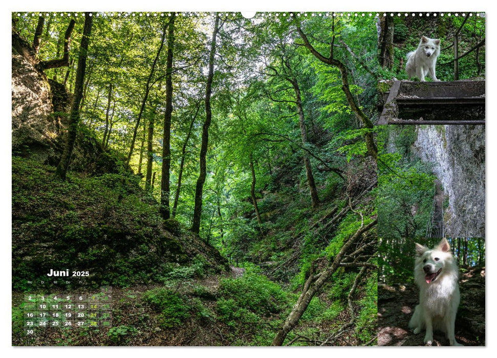 Hundespaziergänge auf der Schwäbischen Alb (CALVENDO Wandkalender 2025)