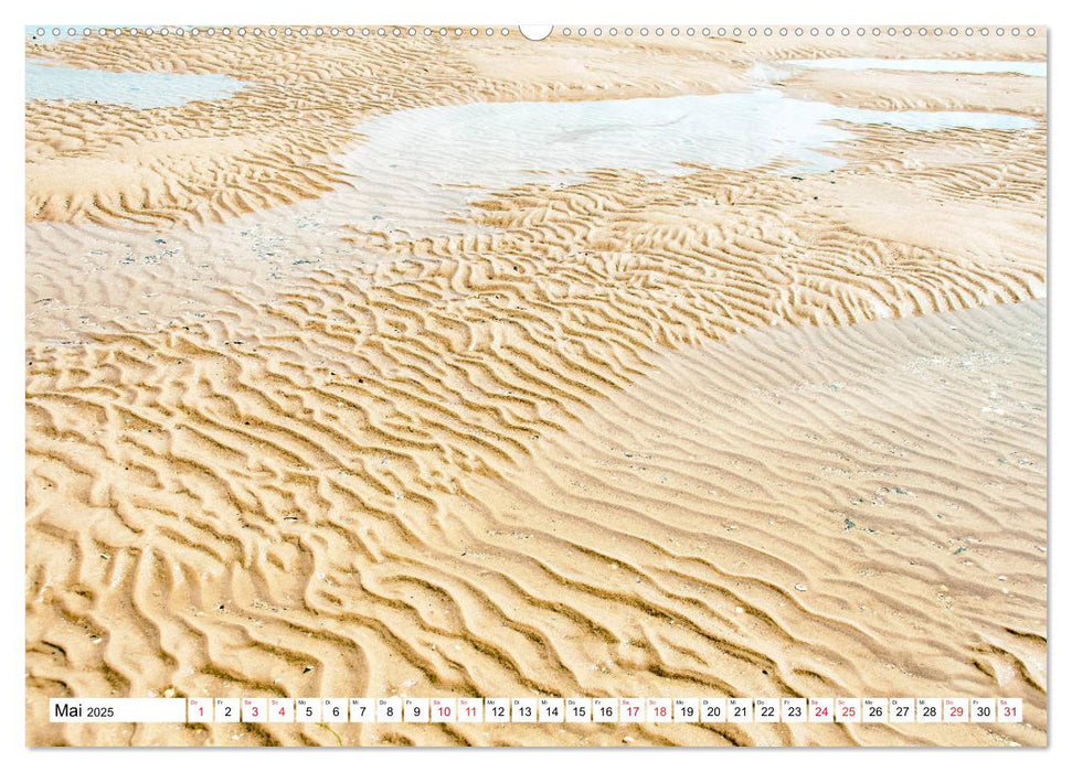 Föhr - Insel mit ganz speziellem Charme (CALVENDO Wandkalender 2025)