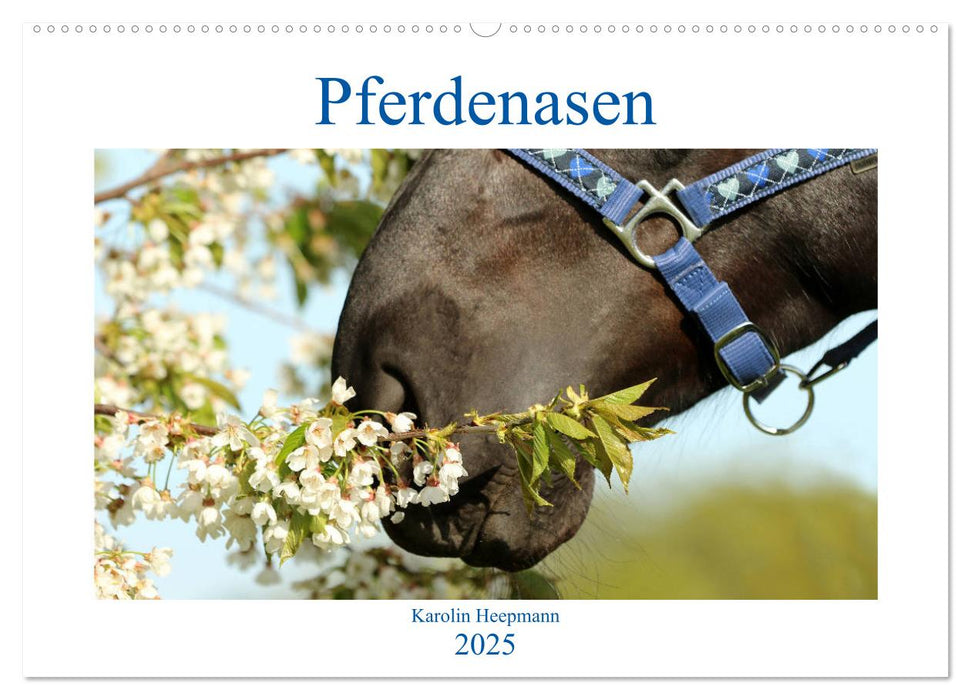 Pferdenasen (CALVENDO Wandkalender 2025)