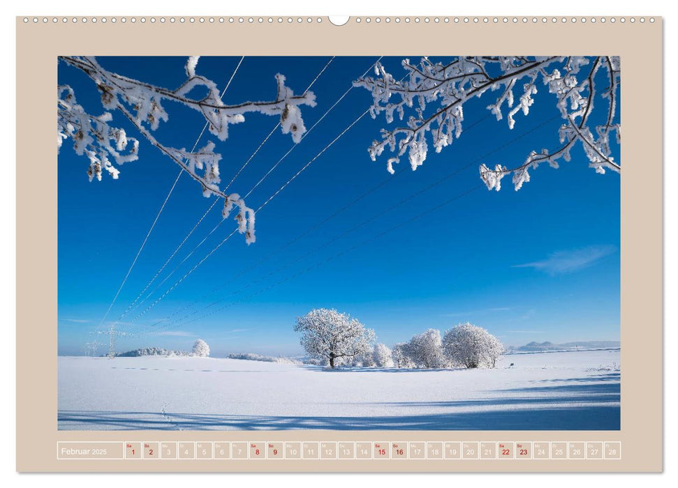 Vogtland - 900 Jahre Plauen (CALVENDO Wandkalender 2025)