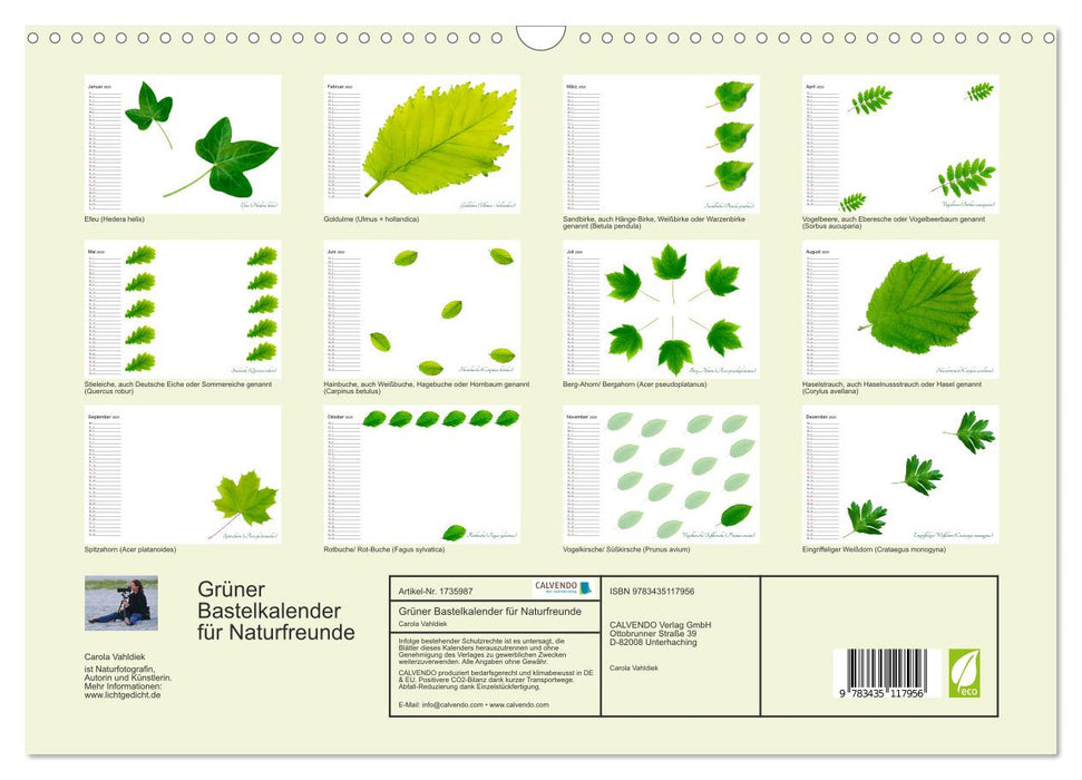 Grüner Bastelkalender für Naturfreunde (CALVENDO Wandkalender 2025)