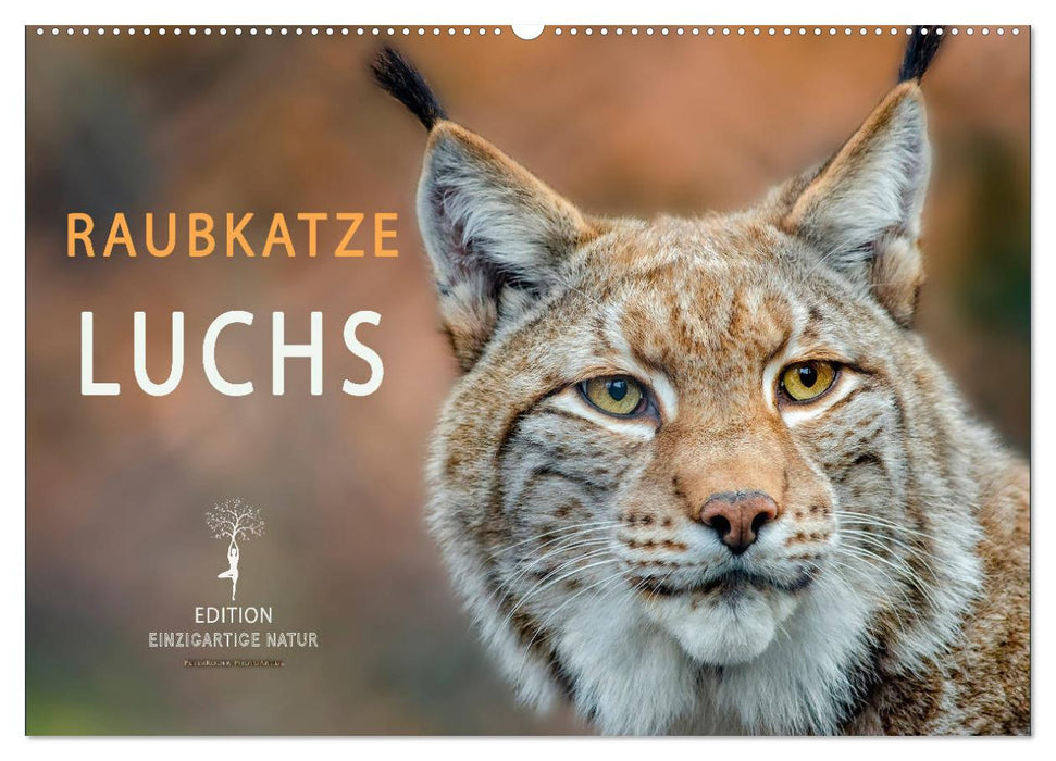 Raubkatze Luchs (CALVENDO Wandkalender 2025)