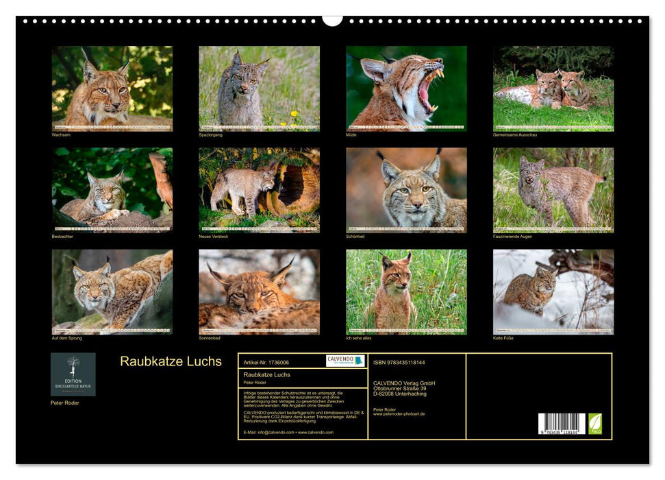 Raubkatze Luchs (CALVENDO Wandkalender 2025)