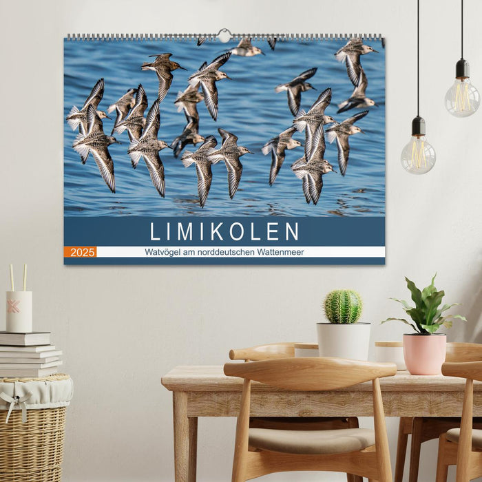 Limikolen - Watvögel am norddeutschen Wattenmeer (CALVENDO Wandkalender 2025)