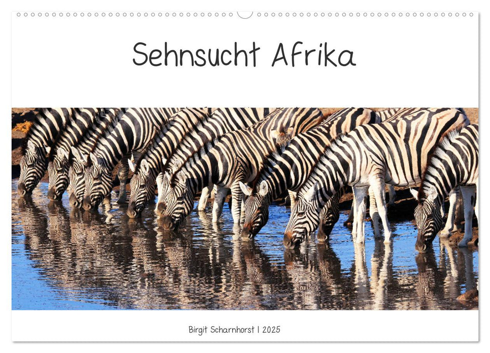 Sehnsucht Afrika - Faszinierende Tierwelt im südlichen Afrika (CALVENDO Wandkalender 2025)