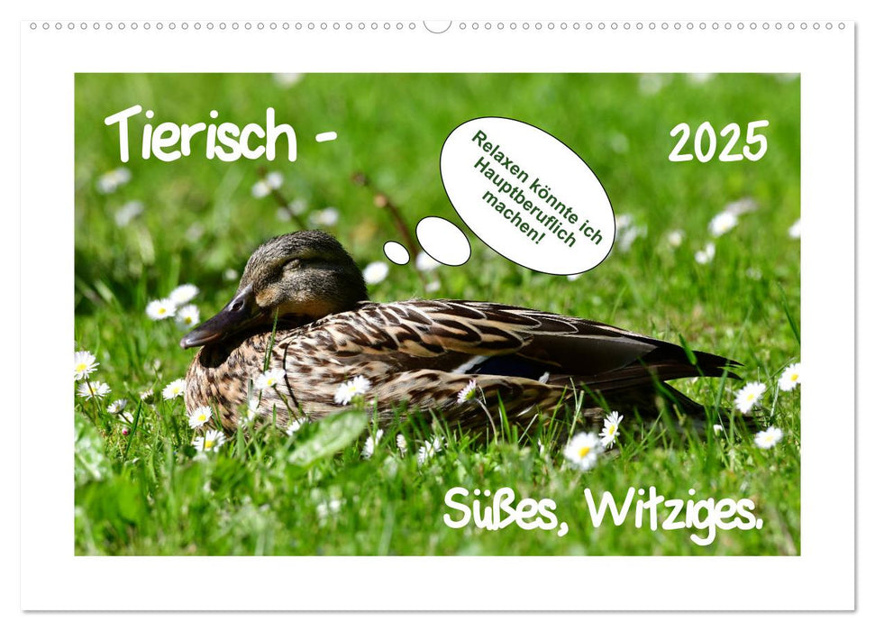 Tierisch - Süßes, Witziges. (CALVENDO Wandkalender 2025)