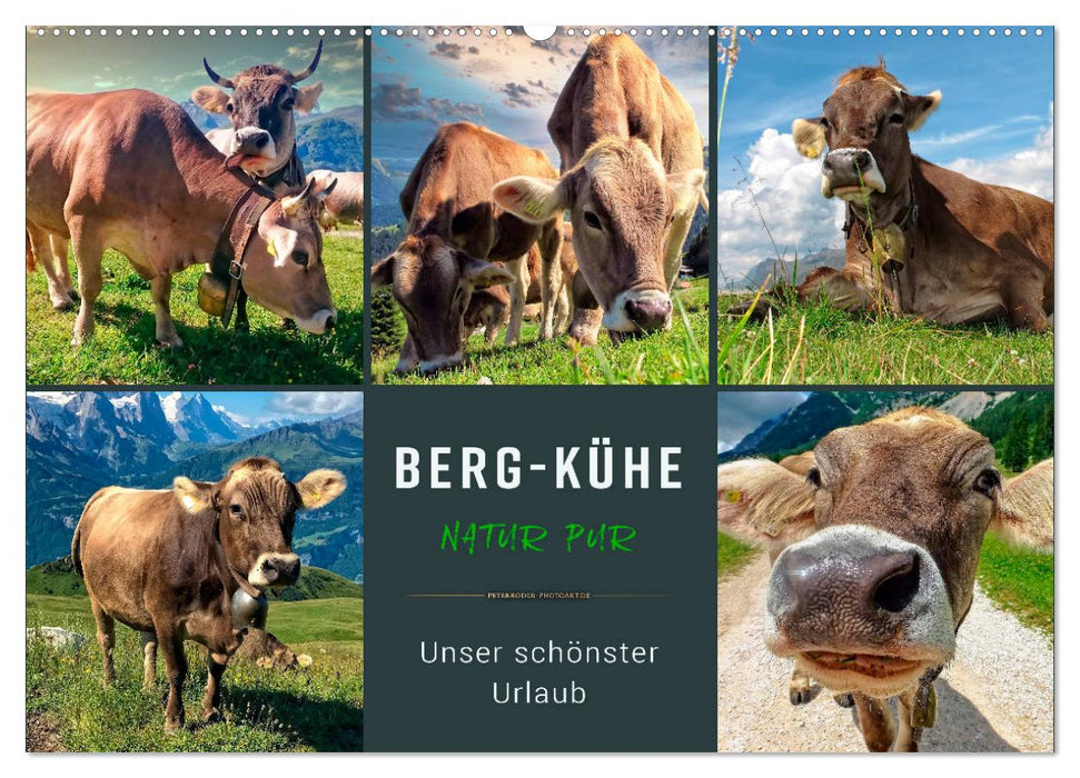 Berg-Kühe, Natur pur - unser schönster Urlaub (CALVENDO Wandkalender 2025)