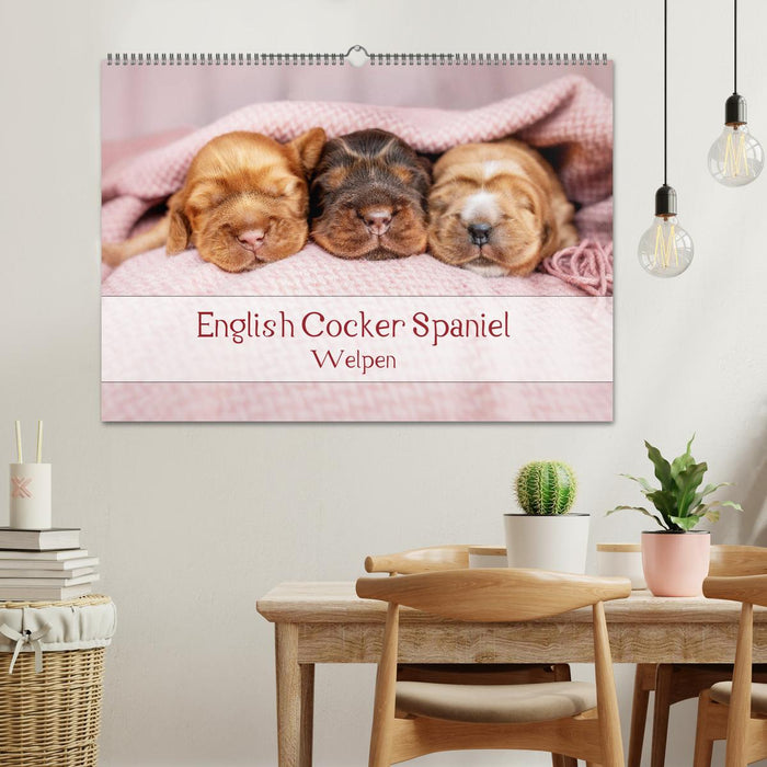 English Cocker Spaniel Welpen (CALVENDO Wandkalender 2025)