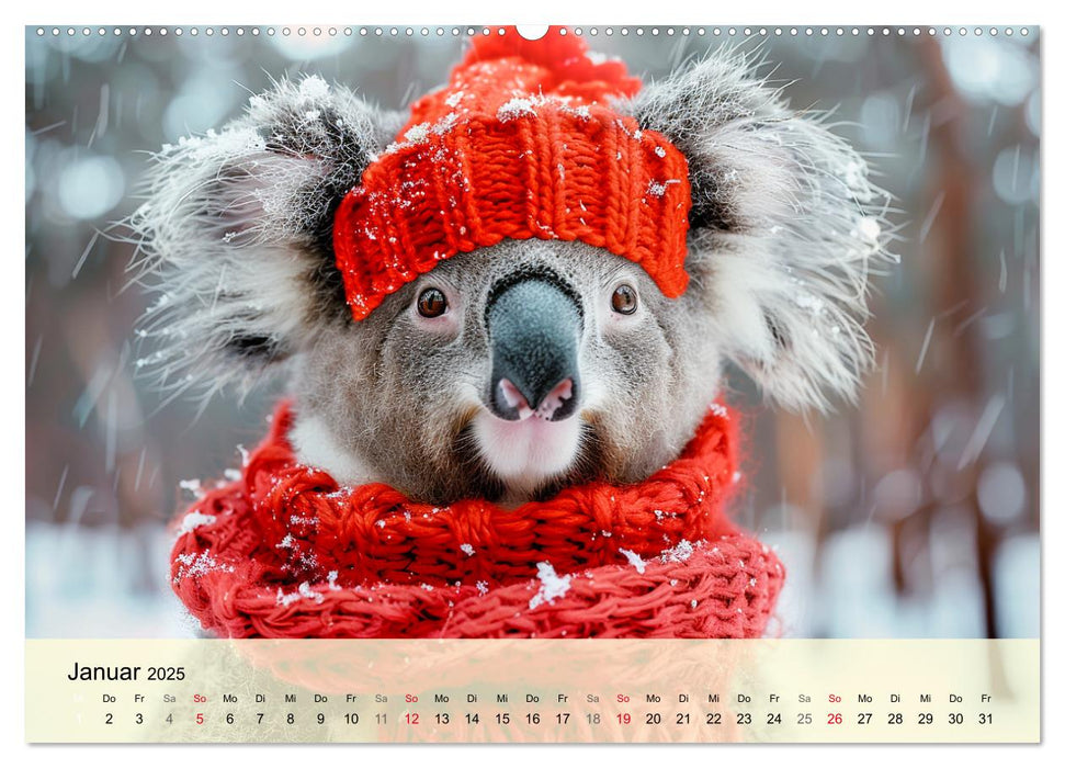 Koalas im Modefieber. Flauschig und Chic beim Fotoshooting (CALVENDO Wandkalender 2025)