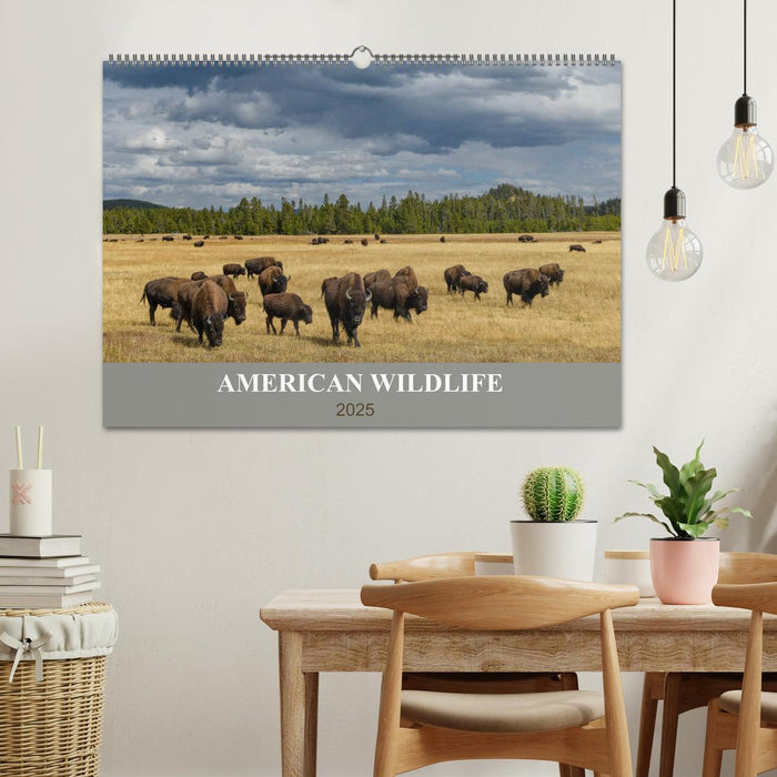 American Wildlife (CALVENDO Wandkalender 2025)