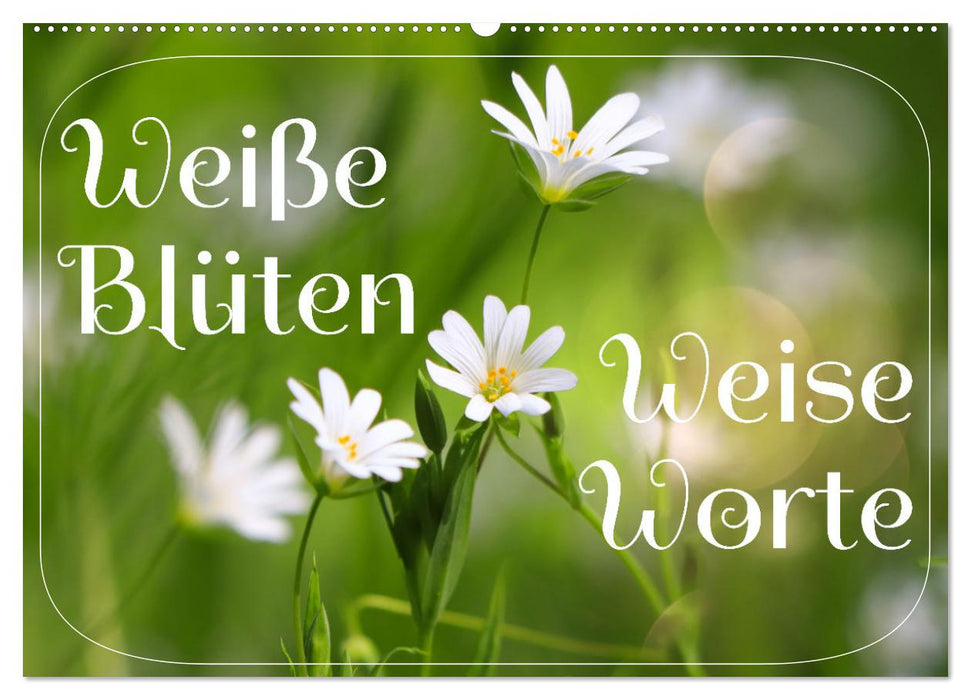 Weiße Blüten, weise Worte (CALVENDO Wandkalender 2025)