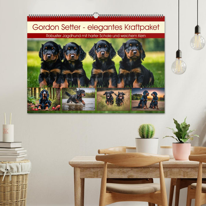 Gordon Setter - elegantes Kraftpaket (CALVENDO Wandkalender 2025)