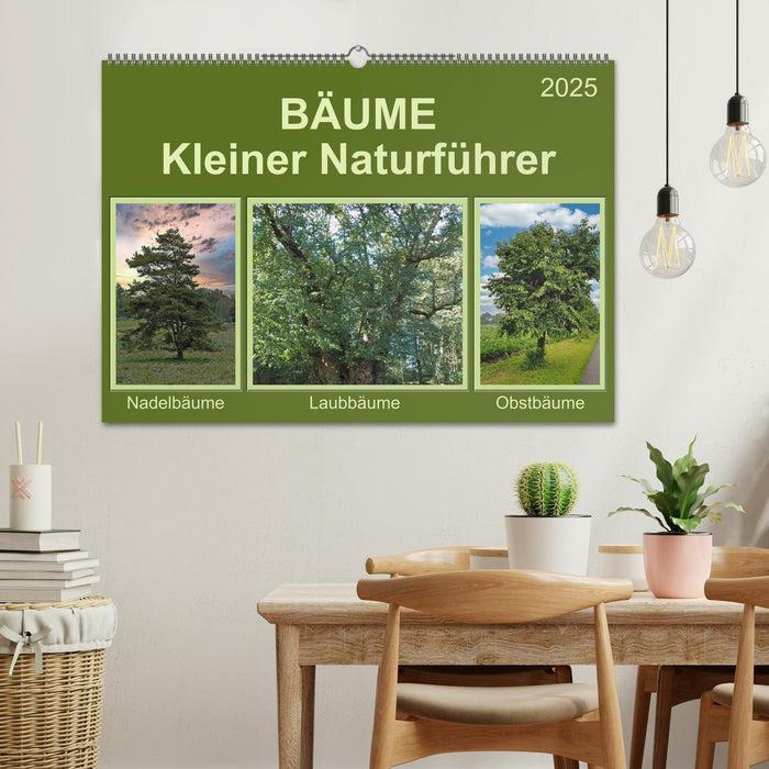 Bäume Kleiner Naturführer (CALVENDO Wandkalender 2025)