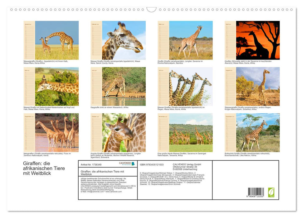 Giraffen: die afrikanischen Tiere mit Weitblick (CALVENDO Wandkalender 2025)