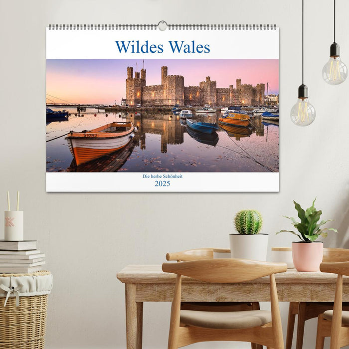 Wildes Wales (CALVENDO Wandkalender 2025)