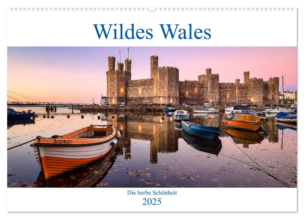 Wildes Wales (CALVENDO Wandkalender 2025)