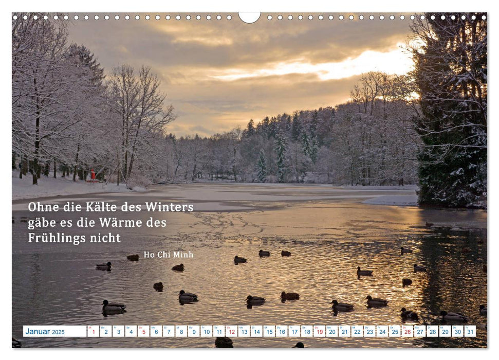 Kraftquelle Natur (CALVENDO Wandkalender 2025)