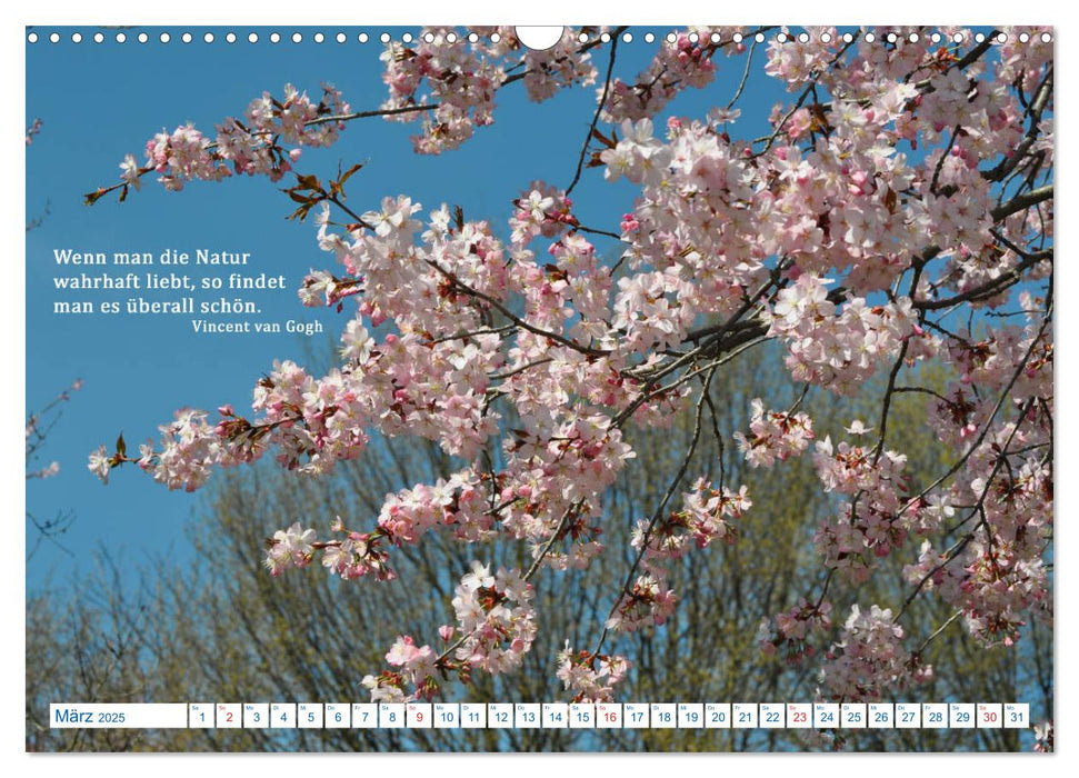 Kraftquelle Natur (CALVENDO Wandkalender 2025)