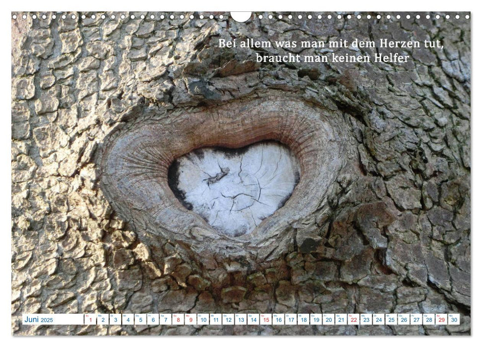 Kraftquelle Natur (CALVENDO Wandkalender 2025)