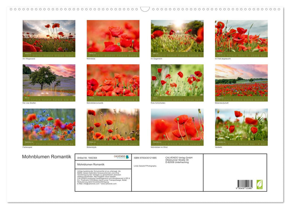 Mohnblumen Romantik (CALVENDO Wandkalender 2025)